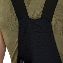 Cargobibshort Flexair Ascent