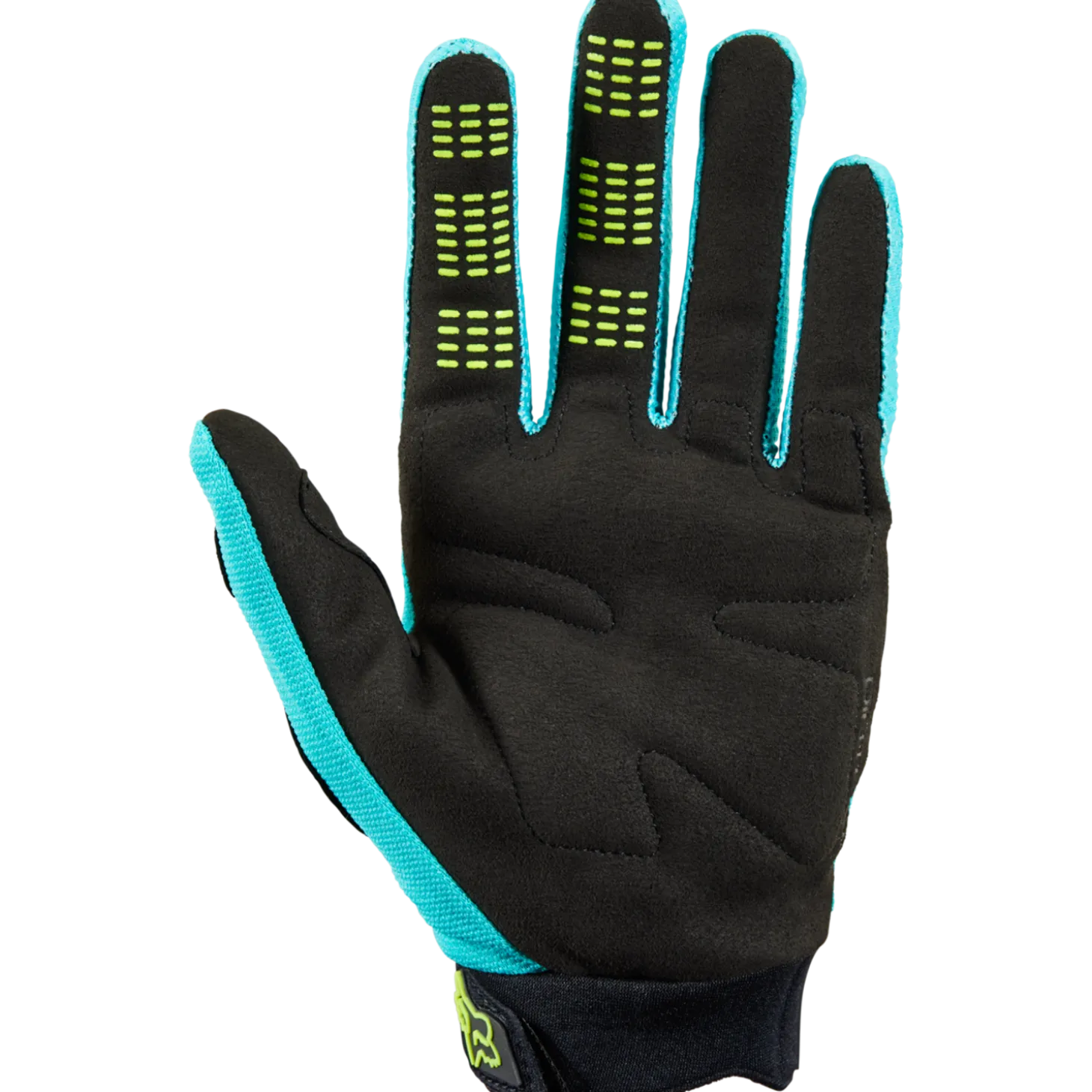 HANDSCHOENEN DIRTPAW