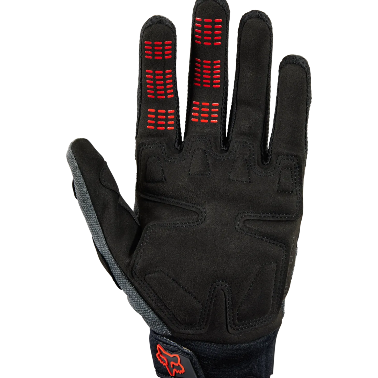 HANDSCHOENEN DIRTPAW