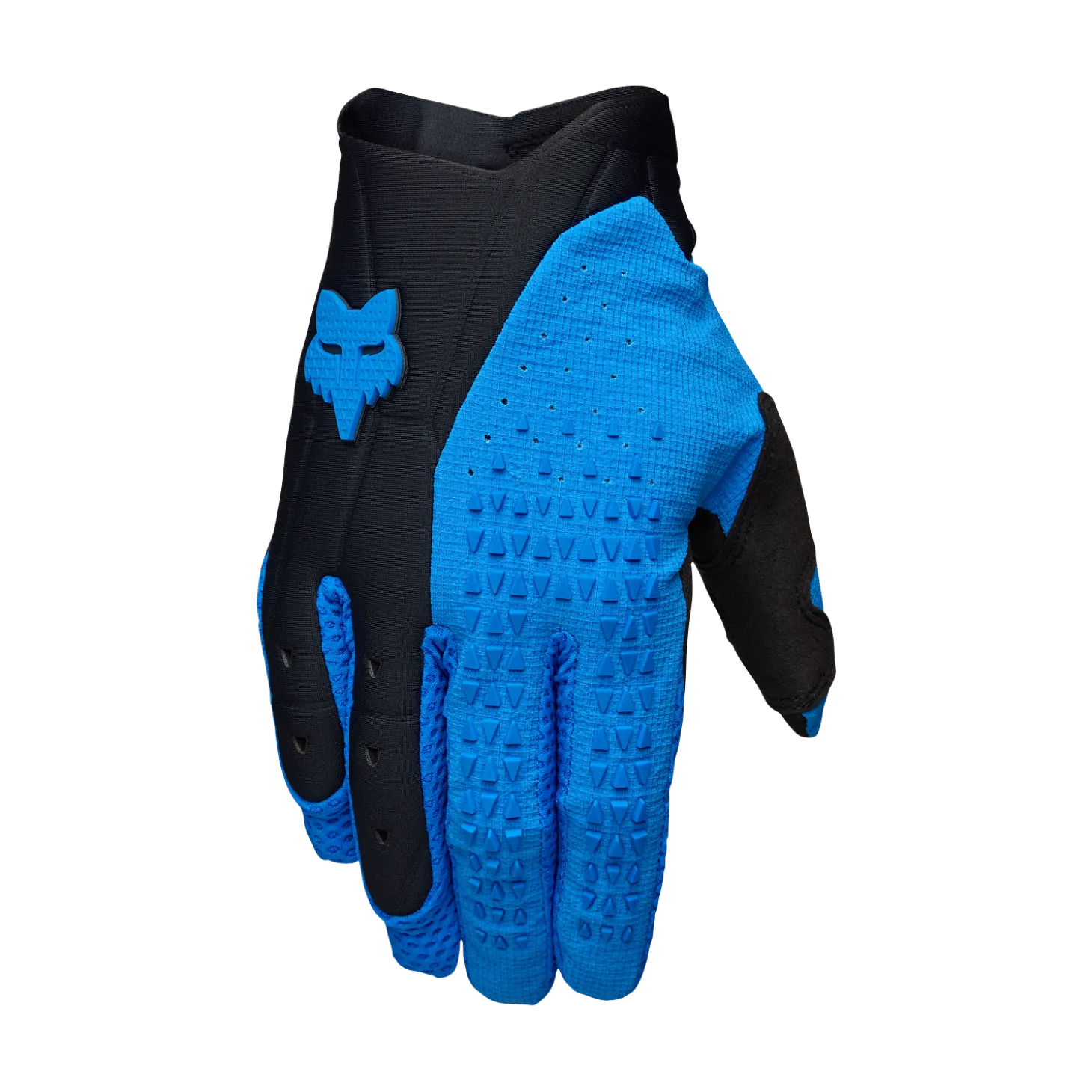 Handschoenen Pawtector