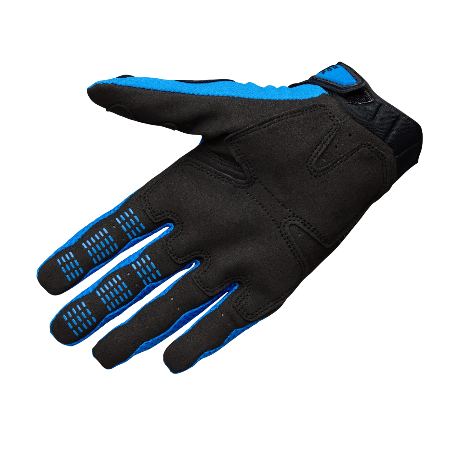 Handschoenen Pawtector