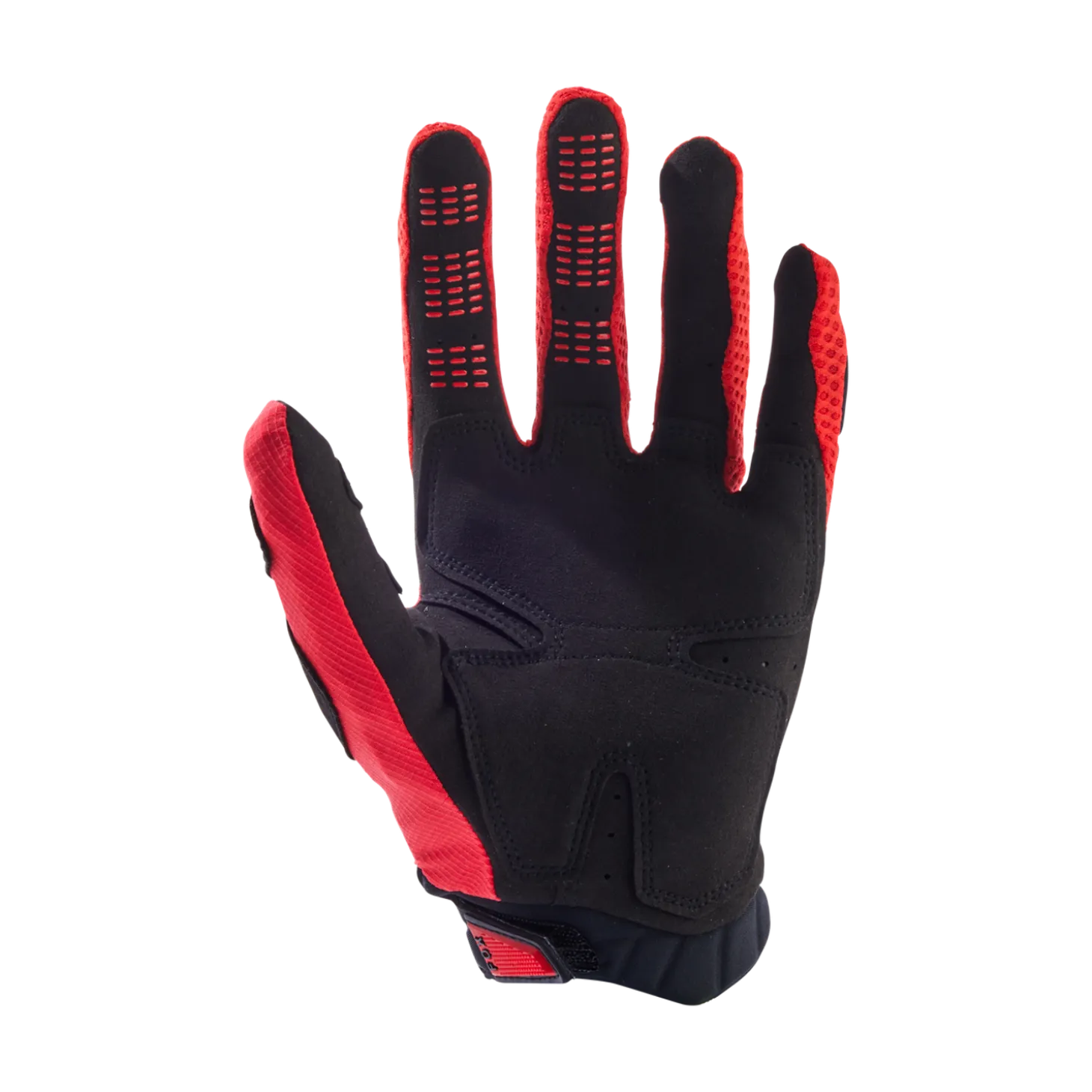 Handschoenen Pawtector