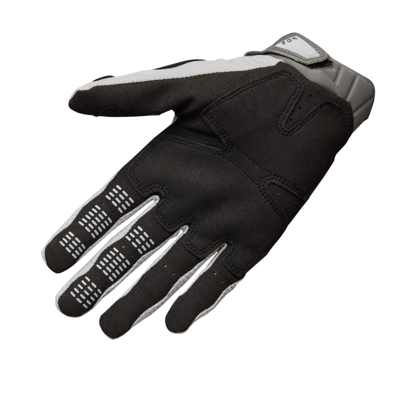 Handschoenen Pawtector