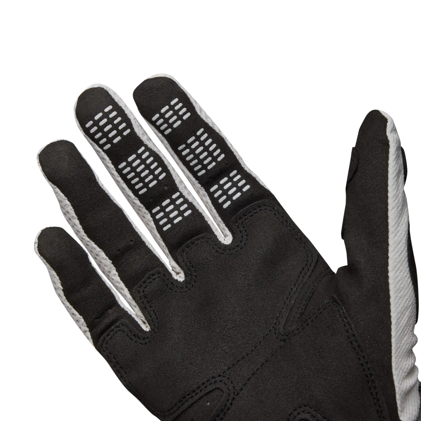 Handschoenen Pawtector