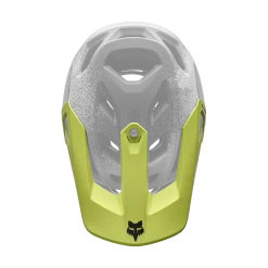 Proframe RS Aura Visor