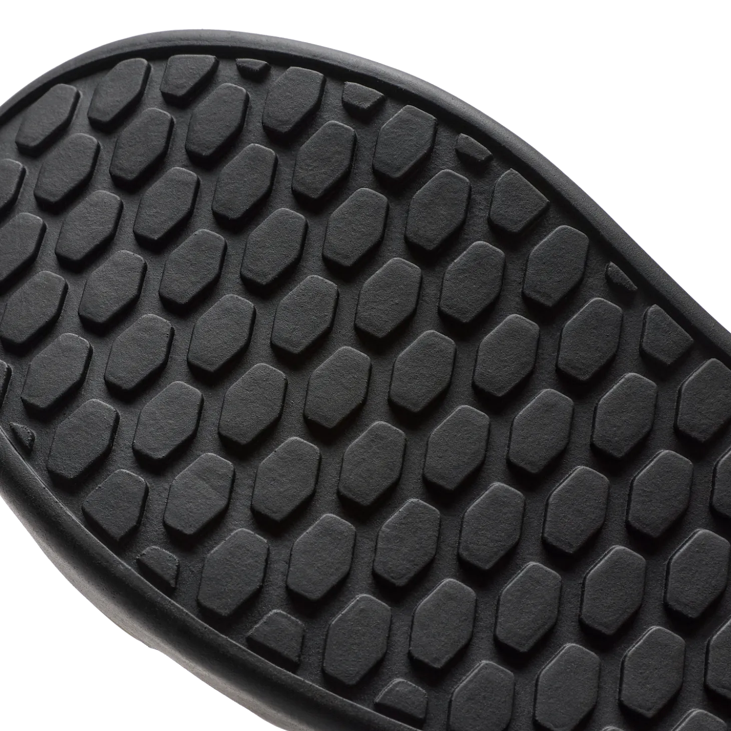 Schoenen Fox Union Canvas