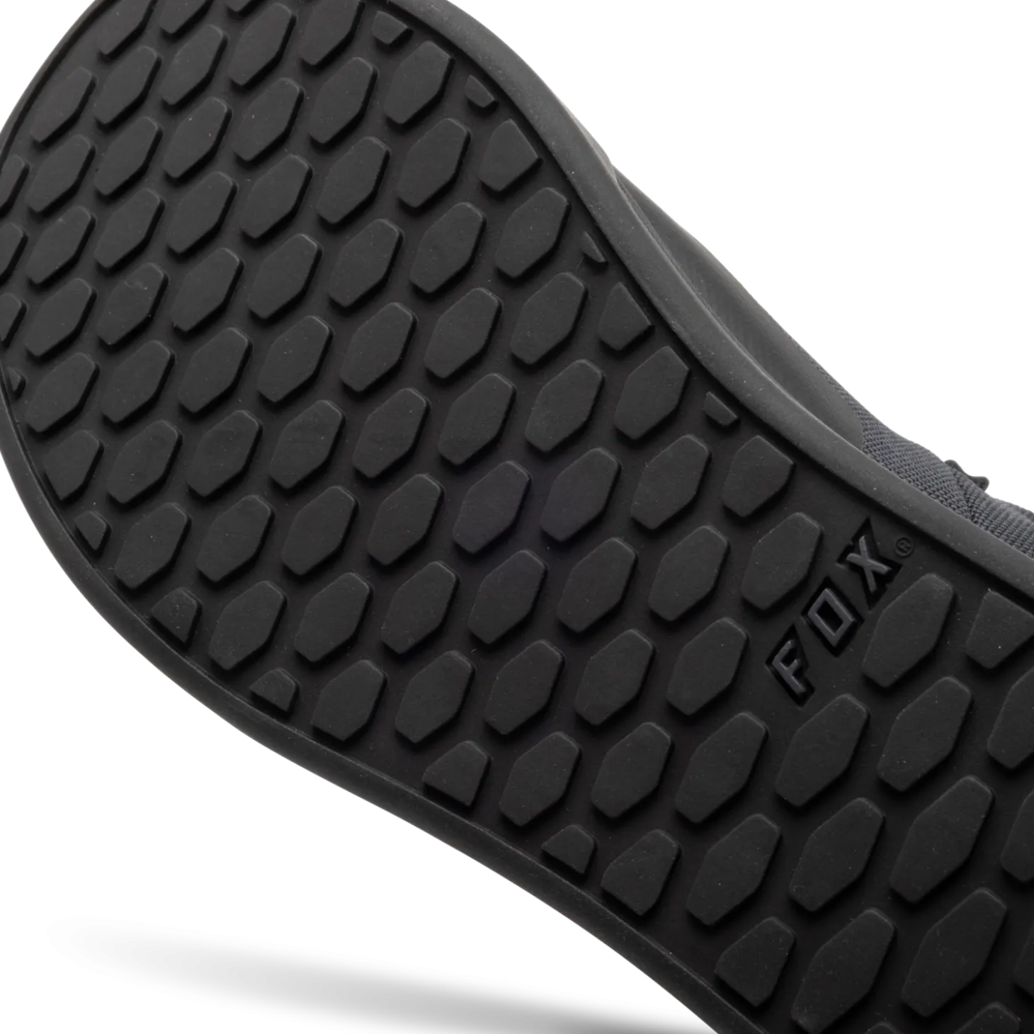 Schoenen Fox Union Canvas