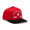 Youth Icon Snapback Hat
